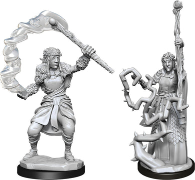 Dungeons & Dragons Nolzur`s Marvelous Unpainted Miniatures: W13 Firbolg Druid Female - Linebreakers