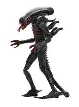 Load image into Gallery viewer, ALIEN 40TH ANNIVERSARY 7IN AF ASSORTED