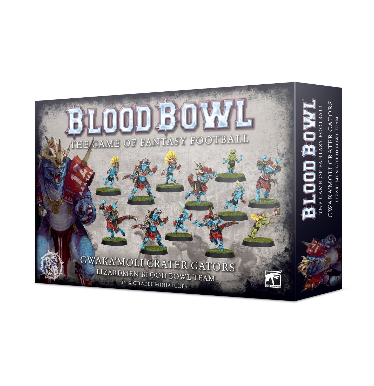 Lizardmen Blood Bowl Team – Gwaka'moli Crater Gators