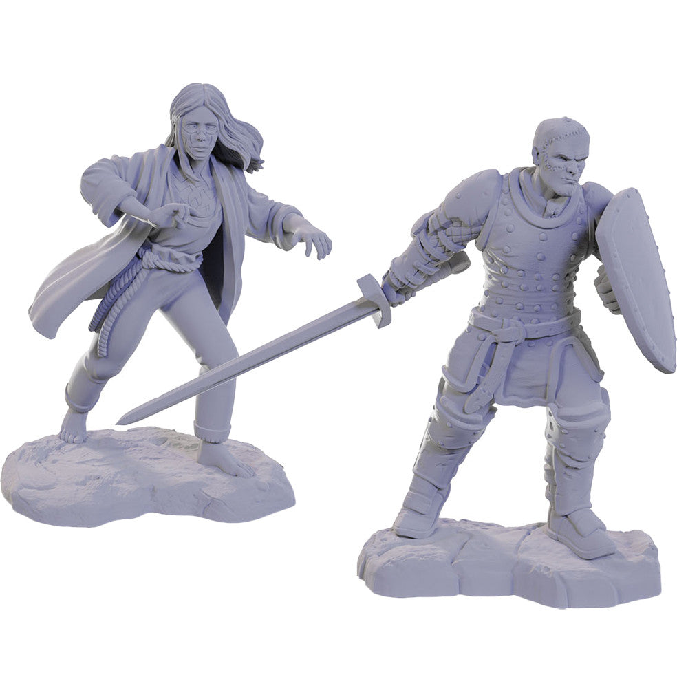 D&D Nolzur's Marvelous Unpainted Minis: W22 Reborn Paladin & Warlock