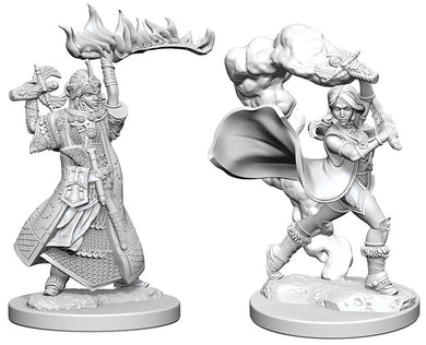 Pathfinder Deep Cuts Unpainted Miniatures: W1 Human Female Cleric - Linebreakers