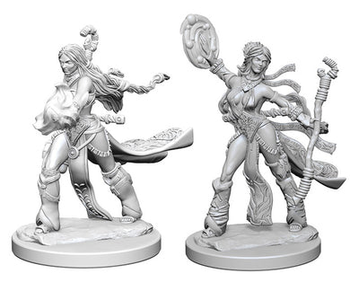 Pathfinder Deep Cuts Unpainted Miniatures: W1 Human Female Sorcerer - Linebreakers