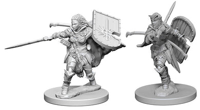Pathfinder Deep Cuts Unpainted Miniatures: W1 Human Female Paladin - Linebreakers