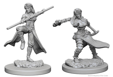 Dungeons & Dragons Nolzur`s Marvelous Unpainted Miniatures: W1 Human Female Monk - Linebreakers