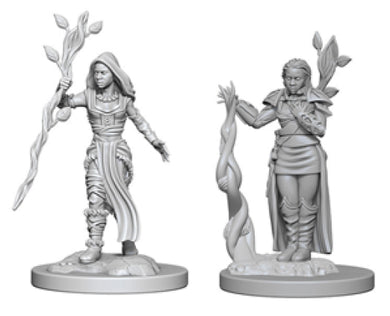 Dungeons & Dragons Nolzur`s Marvelous Unpainted Miniatures: W2 Human Female Druid - Linebreakers