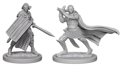 Pathfinder Deep Cuts Unpainted Miniatures: W2 Elf Male Paladin - Linebreakers