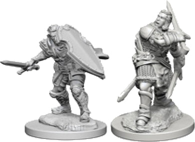 Dungeons & Dragons Nolzur`s Marvelous Unpainted Miniatures: W3 Human Male Paladin - Linebreakers