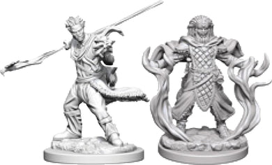 Dungeons & Dragons Nolzur`s Marvelous Unpainted Miniatures: W3 Human Male Druid - Linebreakers