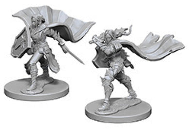 Pathfinder Deep Cuts Unpainted Miniatures: W4 Elf Female Paladin - Linebreakers