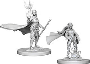 Dungeons & Dragons Nolzur`s Marvelous Unpainted Miniatures: W4 Elf Female Druid - Linebreakers