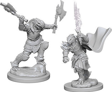 Dungeons & Dragons Nolzur`s Marvelous Unpainted Miniatures: W4 Dragonborn Female Fighter - Linebreakers