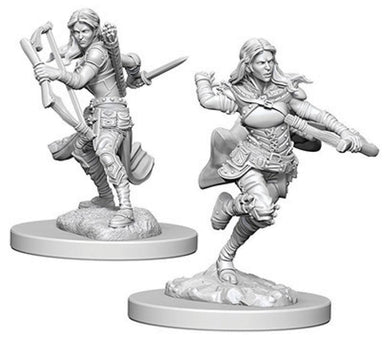 Dungeons & Dragons Nolzur`s Marvelous Unpainted Miniatures: W4 Air Genasi Female Rogue - Linebreakers