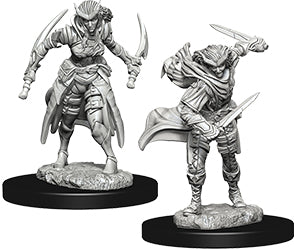 Dungeons & Dragons Nolzur`s Marvelous Unpainted Miniatures: W7 Tiefling Female Rogue - Linebreakers