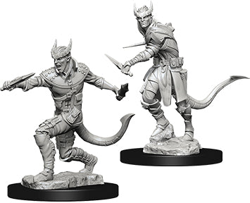 Dungeons & Dragons Nolzur`s Marvelous Unpainted Miniatures: W5 Tiefling Male Rogue - Linebreakers