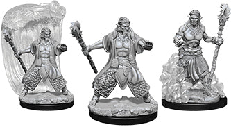 Dungeons & Dragons Nolzur`s Marvelous Unpainted Miniatures: W5 Water Genasi Male Druid - Linebreakers