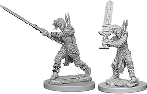 Pathfinder Deep Cuts Unpainted Miniatures: W6 Human Female Barbarian - Linebreakers