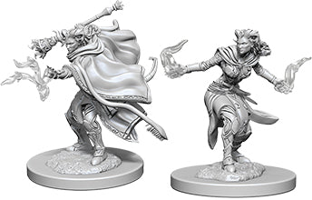 Dungeons & Dragons Nolzur`s Marvelous Unpainted Miniatures: W6 Female Tiefling Warlock - Linebreakers