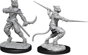 Dungeons & Dragons Nolzur`s Marvelous Unpainted Miniatures: W7 Tabaxi Male Rogue - Linebreakers