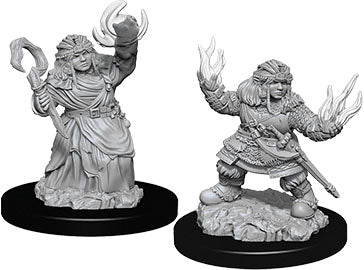 Pathfinder Deep Cuts Unpainted Miniatures: W7 Female Dwarf Summoner - Linebreakers