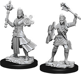 Dungeons & Dragons Nolzur`s Marvelous Unpainted Miniatures: W8 Female Human Cleric - Linebreakers