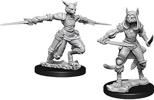 Dungeons & Dragons Nolzur`s Marvelous Unpainted Miniatures: W9 Female Tabaxi Rogue - Linebreakers