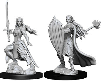 Dungeons & Dragons Nolzur`s Marvelous Unpainted Miniatures: W9 Female Elf Paladin - Linebreakers