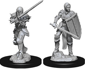 Dungeons & Dragons Nolzur`s Marvelous Unpainted Miniatures: W9 Female Human Fighter - Linebreakers