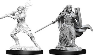 Dungeons & Dragons Nolzur`s Marvelous Unpainted Miniatures: W10 Female Human Paladin - Linebreakers