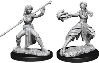 Dungeons & Dragons Nolzur`s Marvelous Unpainted Miniatures: W10 Female Half-Elf Monk - Linebreakers