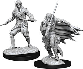 Pathfinder Deep Cuts Unpainted Miniatures: W10 Male Elf Rogue - Linebreakers
