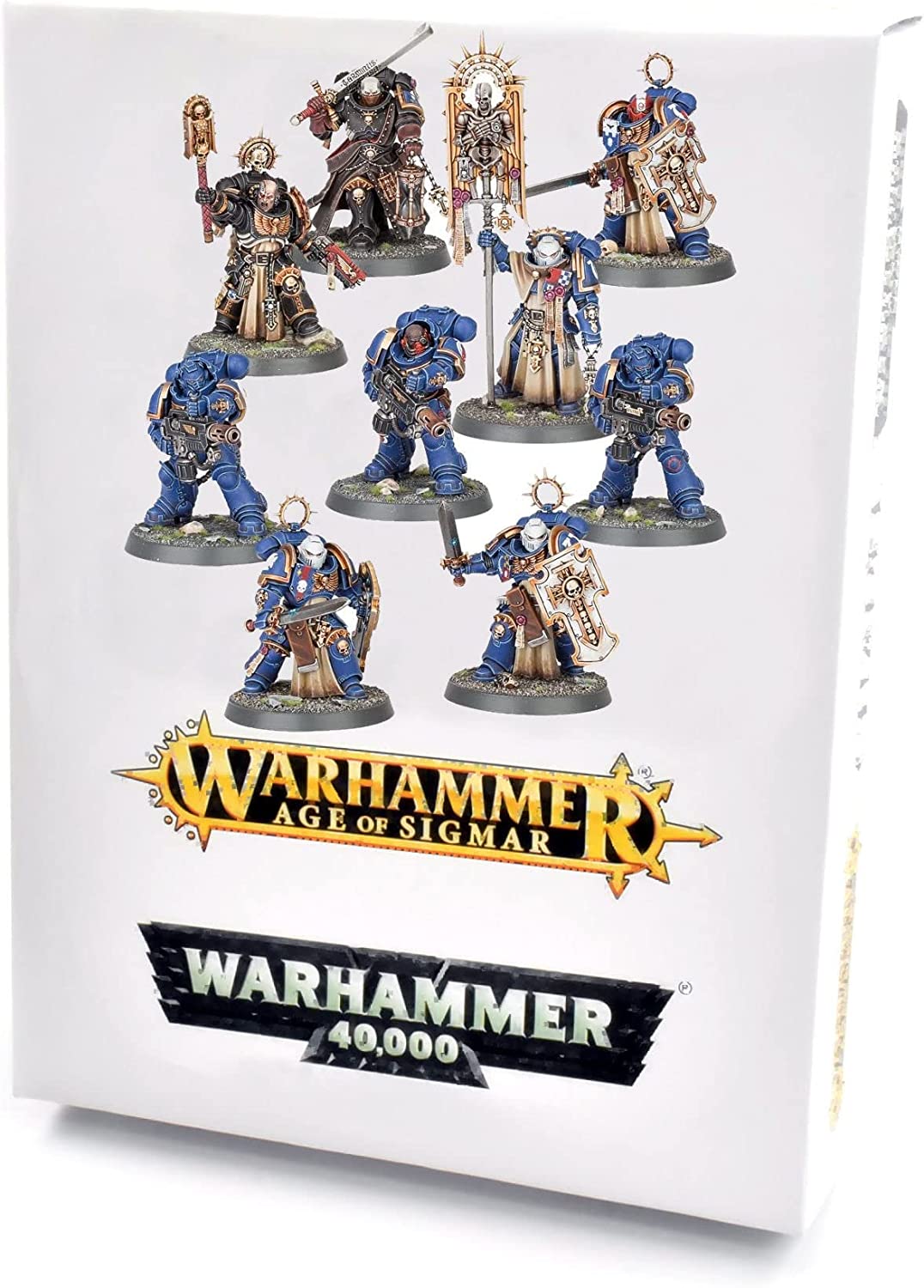 Space Marine Honoured of The Chapter