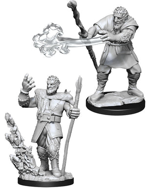 Dungeons & Dragons Nolzur`s Marvelous Unpainted Miniatures: W11 Male Firbolg Druid - Linebreakers