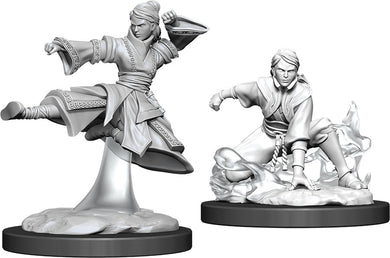 Dungeons & Dragons Nolzur`s Marvelous Unpainted Miniatures: W11 Female Human Monk - Linebreakers