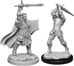 Dungeons & Dragons Nolzur`s Marvelous Unpainted Miniatures: W12 Male Human Paladin - Linebreakers