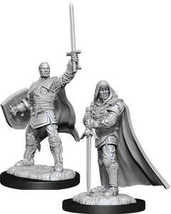 Dungeons & Dragons Nolzur`s Marvelous Unpainted Miniatures: W13 Human Paladin Male - Linebreakers