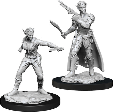 Dungeons & Dragons Nolzur`s Marvelous Unpainted Miniatures: W13 Shifter Rogue Female - Linebreakers