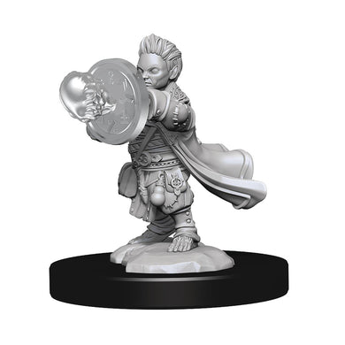 PATHFINDER DEEPCUTS MINI HALFLING WIZARD MALE (C: 0-1-2) - Linebreakers