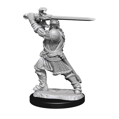 D&D NOLZURS MARVELOUS MINIS HUMAN PALADIN MALE (C: 0-1-2) - Linebreakers