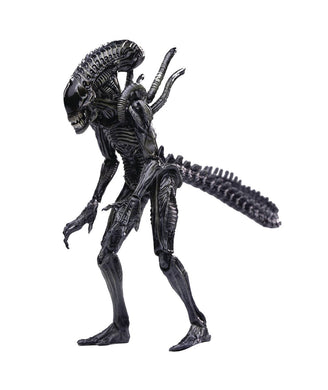 AVPR XENO WARRIOR PX /18 SCALE FIGURE