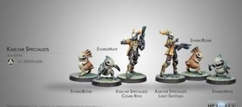 Infinity: Tohaa Kaeltar Specialists